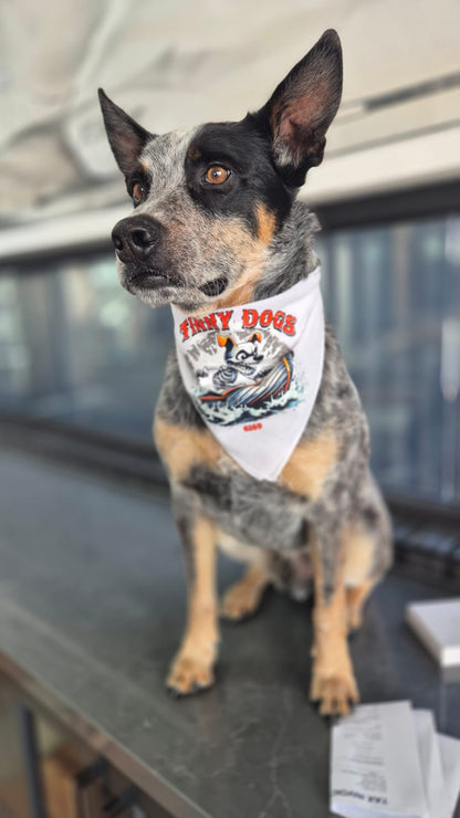 Tinny Dogs Bandana